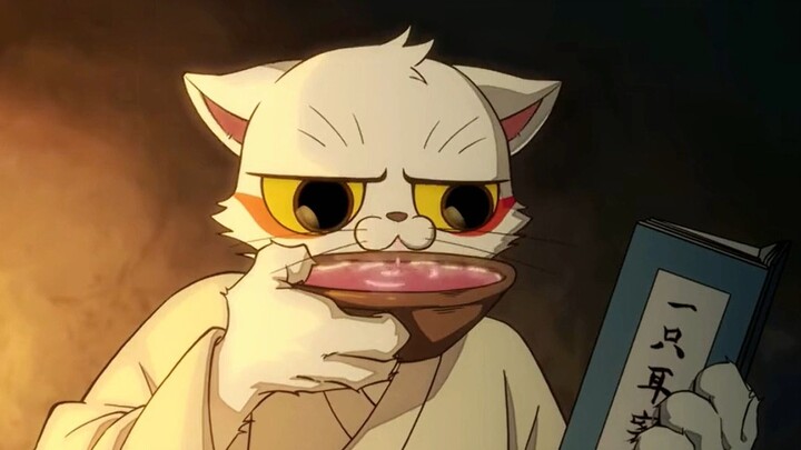 Xiao Xiu Mao’s obviously gotta check out the case of the one-eared cat!