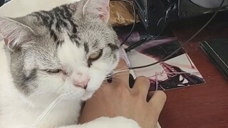 The mouse in your hand is wrong! Can you let me try the duck neck logo?