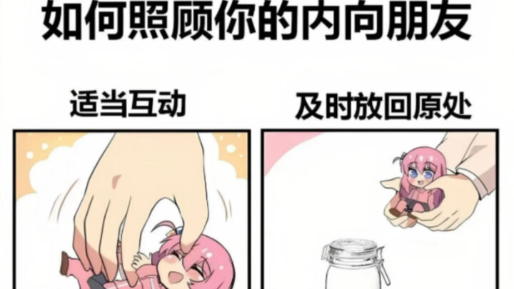 沙雕梗图｜如何照顾你内向的朋友