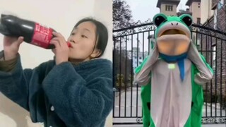 Frog can turn into Ultraman Tiga