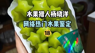 [Fruit Hunter × Hunter] Nhận dạng trái cây phổ biến trực tuyến 18