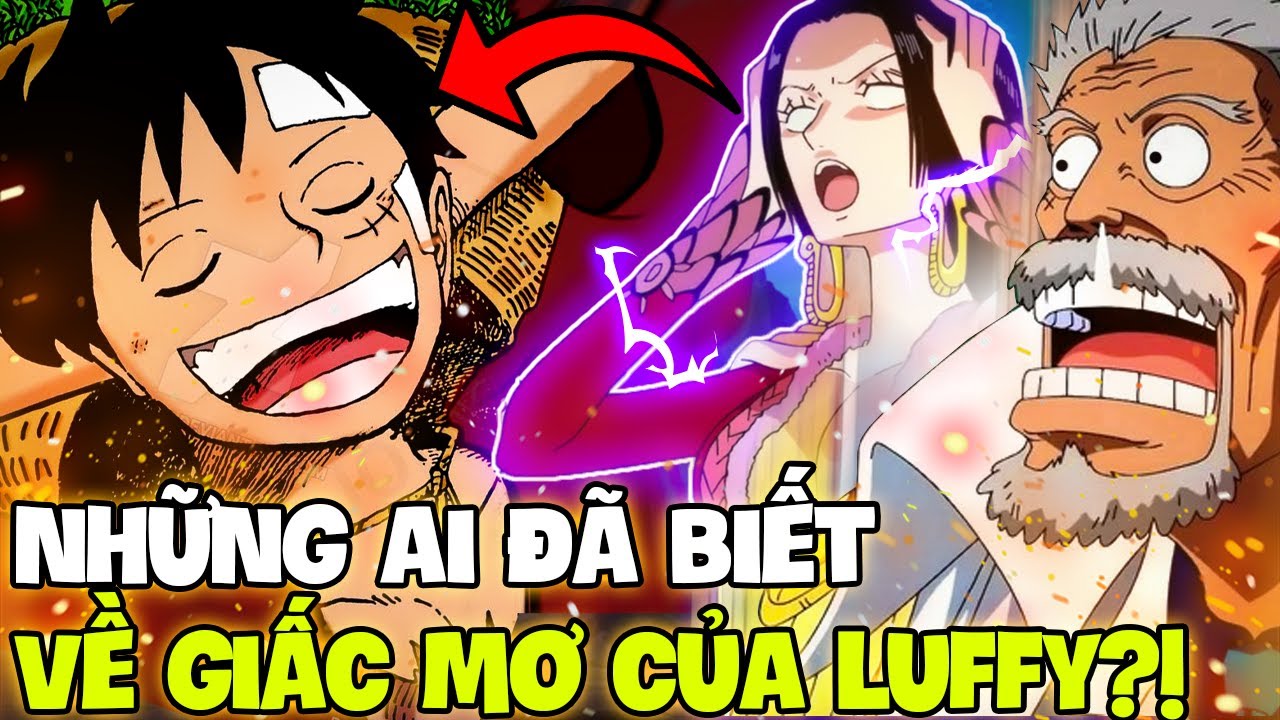 One Piece 1065 Spoiler: Vegapunk cùng bí mật về Vương Quốc Cổ Đại