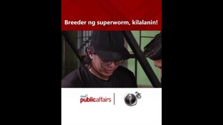 Breeder ng superworm, kilalanin! | I-Witness