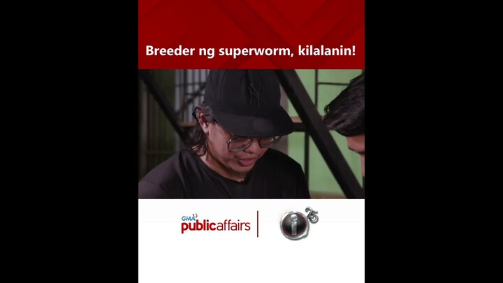 Breeder ng superworm, kilalanin! | I-Witness