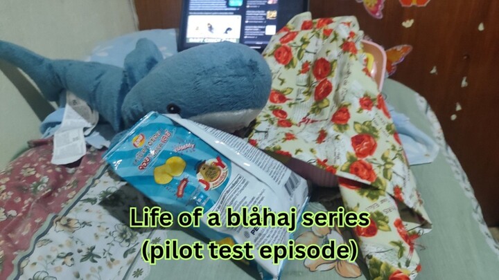 Life of a blåhaj pilot episode