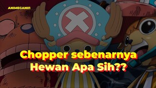 Ketika Chopper Sudah Diujung Emosi