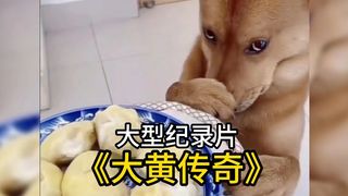 大型纪录片《大黄传奇》