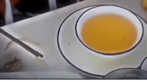 Tiểu não của tôi teo lại ngay khi tôi mở cửa! 😂😂