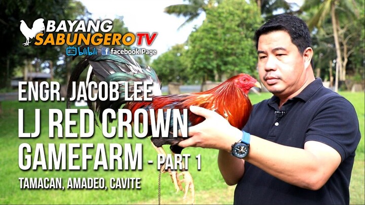 LJ Redcrown Gamefarm - Engr. Jacob Lee (Part 1)