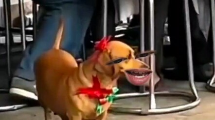 If there aren't enough groomsmen, I'll step up!