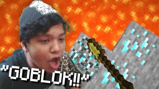 Gw REAKSIIN ! Orang GOBLOK Di MINECRAFT 0 IQ ... *GREGETAN*