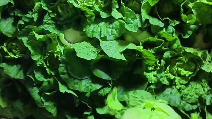 First-person tour of vegetable shopping: Bargaining isn’t about yelling—it’s about smart analysis to