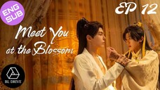 🇨🇳 Meet You at the Blossom | HD Episode 12 (Finale) ~ [English Sub]