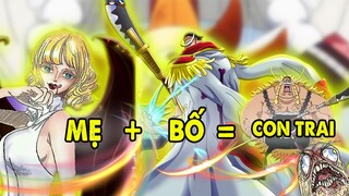 One Piece 1072 ++ Vợ Râu Trắng - Stussy Hóa Ma Cà Rồng Hạ Gục Kaku và Lucci ?
