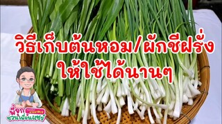วิธีการเก็บต้นหอม/ผักชีฝรั่งให้กินได้นานๆ/ยุคนี้ต้องรัดเข็มขัดน๊ะจ๊ะ/Byชวนเพื่อนแชร์
