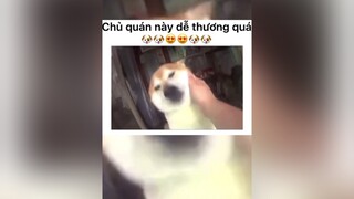 Gặp chủ quan như này thì ai chả muốn vào mua đồ nhỉ😁😁😁meme fyp funny allstyle_team😁 giaitri editby_ngocduong dog