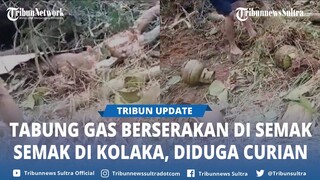 Video Viral Temuan Belasan Tabung Gas Tersimpan di Semak semak Desa Popalia Kolaka, Diduga Curian