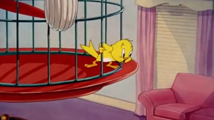 kartun anak Tom and Jerry bahasa indonesia, kitty foiled