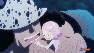 Kuma really love Bonney🥺, Padahal bukan anak kandungnya, Kuma best father🥀