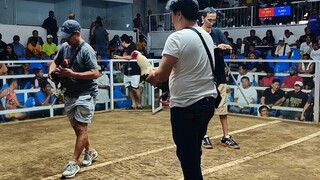 Regular grey 2x winner