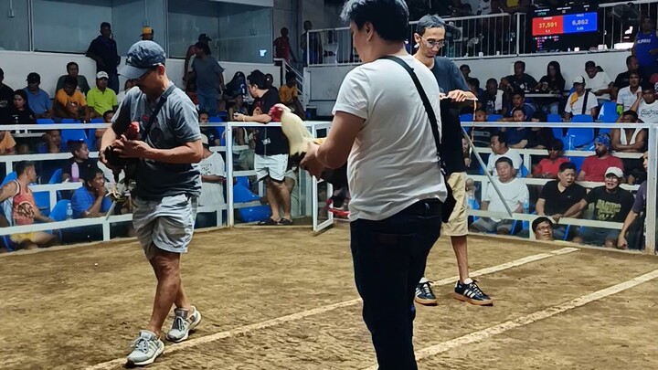 Regular grey 2x winner