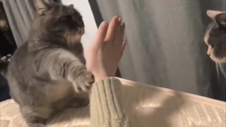 “Jangan ikut campur, hari ini aku harus ngomong baik-baik sama dia.”