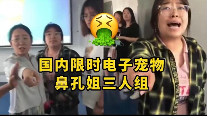 Domestic Digital Pets 1: The “Nostril Sister” Trio — Bullying with Unbridled Arrogance and Acting Sk