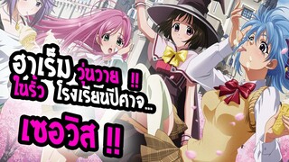 [แนะนำ] : Rosario Vampire |ฮาเร็มวุ่นวาย โรงเรียนปีศาจ !!|เซอวิส ฮาเร็ม 17+