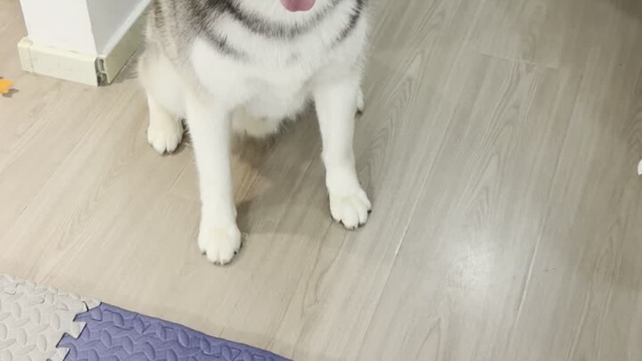 Pemeriksaan Kesehatan Imersif untuk Shen Rourou: Transformasi Wajah