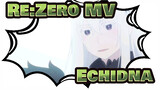 Re:Zero-Echidna: I understand, because I am a witch of lust~