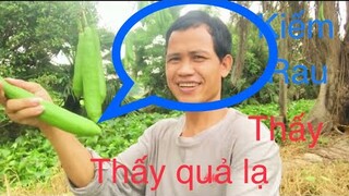 Món ăn thái lan ăn ngán|rahlan duong