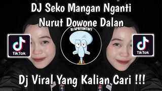 DJ SEKO MANGAN NGANTI NURUT DOWONE DALAN | DJ KALAH VIRAL TIK TOK TERBARU 2024 YANG KALIAN CARI !