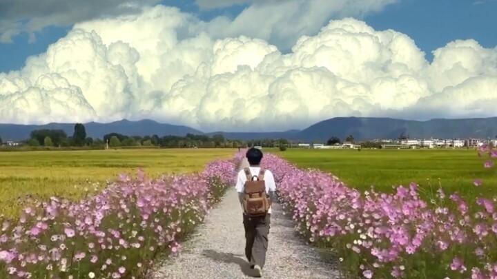 "The wind is free, and I hope you are too"