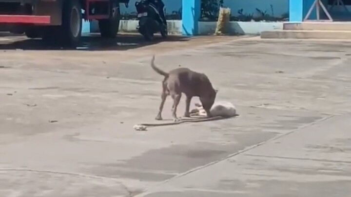 สมองดีช่วยชีวิตได้จริงๆ นะ