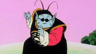 Dragon Ball Z 15: The work of raising children in the jungle almost killed Piccolo!