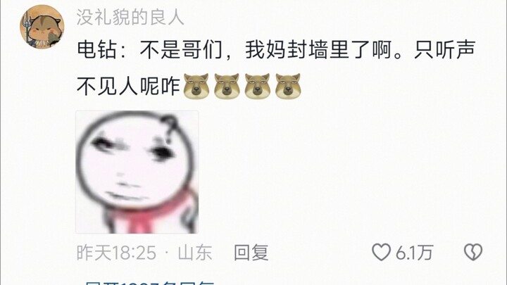 Naming the kitten “Electric Drill” is already hilarious—then it starts barking like its mom’s stuck 