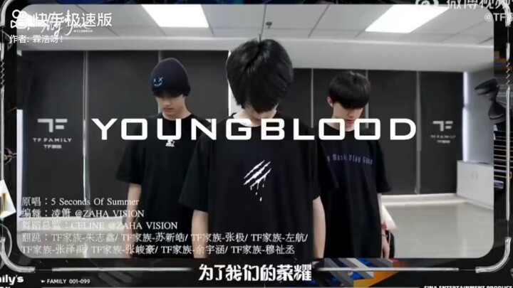 TF家族三代young blood
