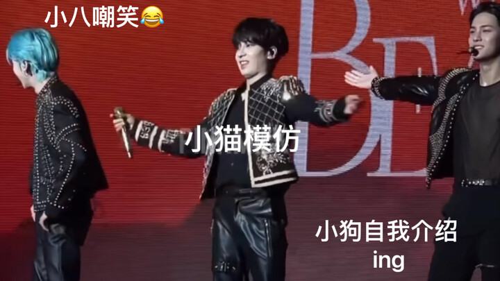 Min Kyu: Không, hai người kia bị bệnh à