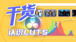 [เคล็ดลับปฏิบัติ] เรียนรู้ดาวินชีในหนึ่งชั่วโมง! ตอนที่ 11: ทำความเข้าใจ LUTS