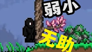 How many people will watch it when playing Terraria for the first time?