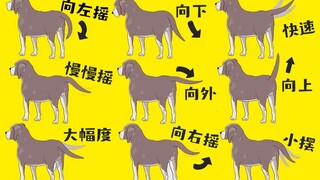 Dogs' body language—specifically, the way dogs wag their tails—reveals their different emotional sta