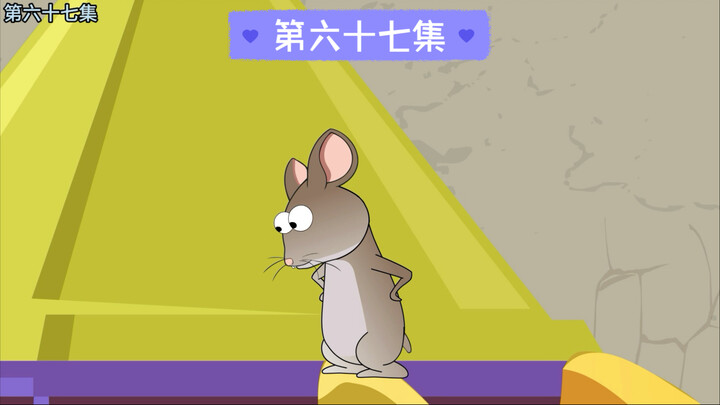 消失的白狼