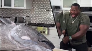 Oliba's Giant Sushi