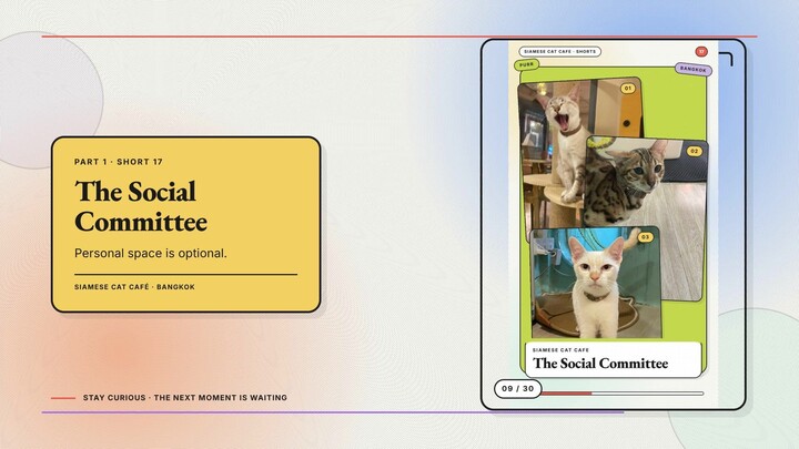 Siamese Cat Café #09 — The Social Committee + The Tiny Supervisors
