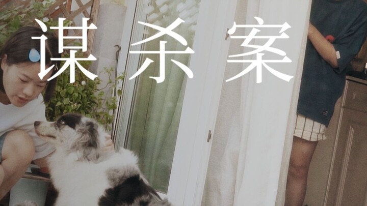 ฆาตกรรมสตรอเบอร์รี่