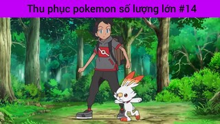 thu phục Pokemon số lượng lớn phần 14