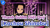 Thanh Gươm Diệt Quỷ | 【Kochou Shinobu】Girl Fuzei / Bươm bướm Shinobu_1
