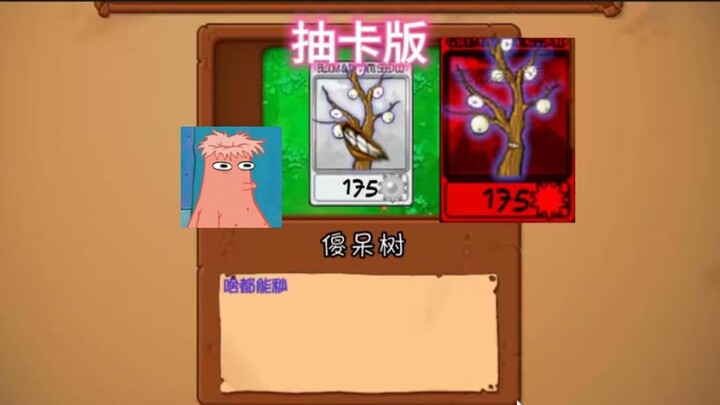 What kind of thunderplant is the silly,呆 tree again?