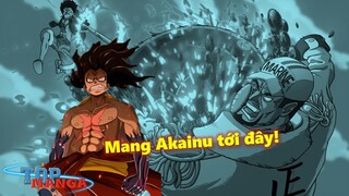 Trình Luffy hiện tại tuyên bố Akainu không có tuổi?