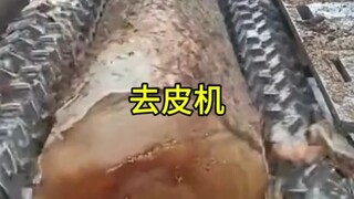 Tree Peeling Machine